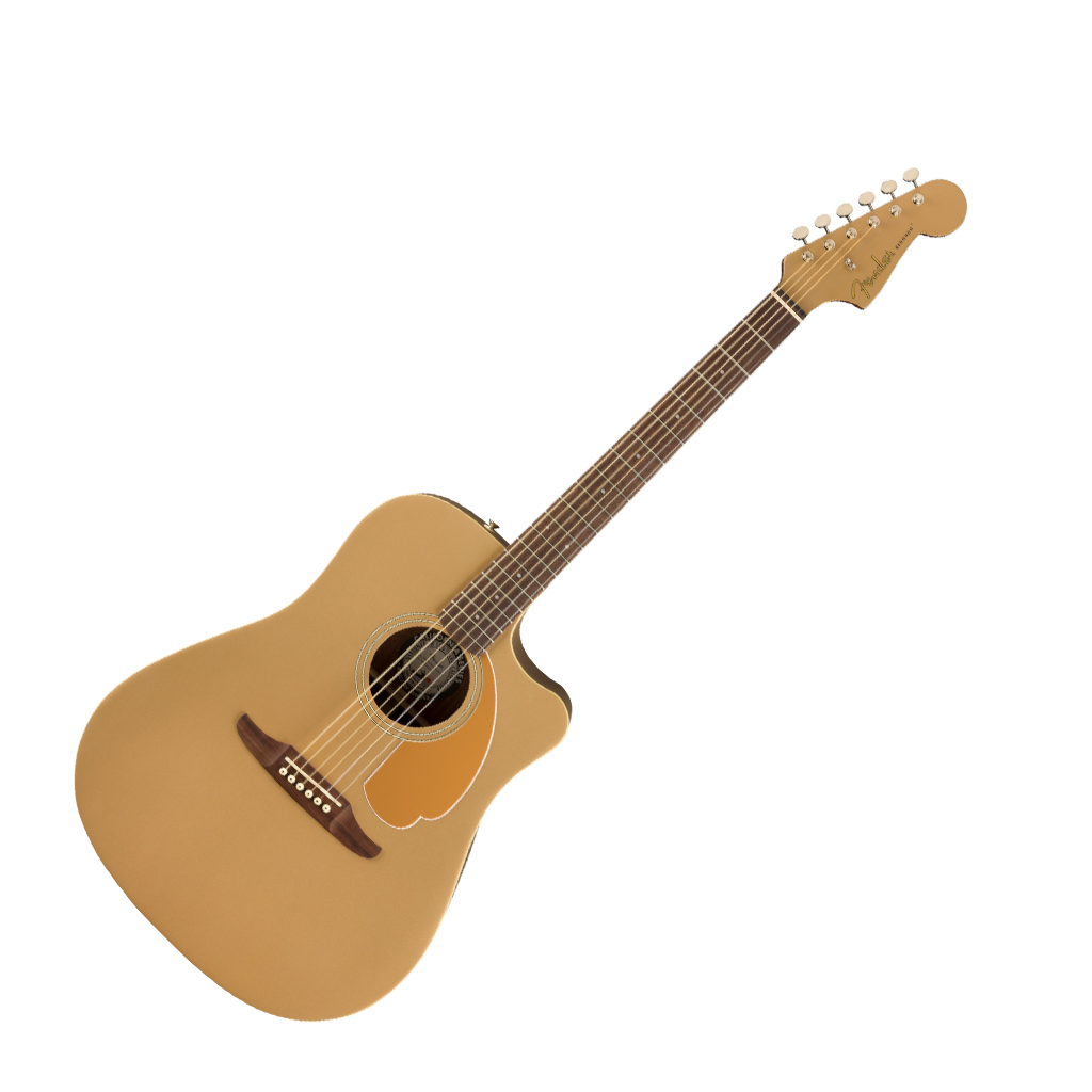 Fender Redondo Plyr, Bronze Satin WN - Showgear Namibia